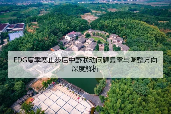EDG夏季赛止步后中野联动问题暴露与调整方向深度解析